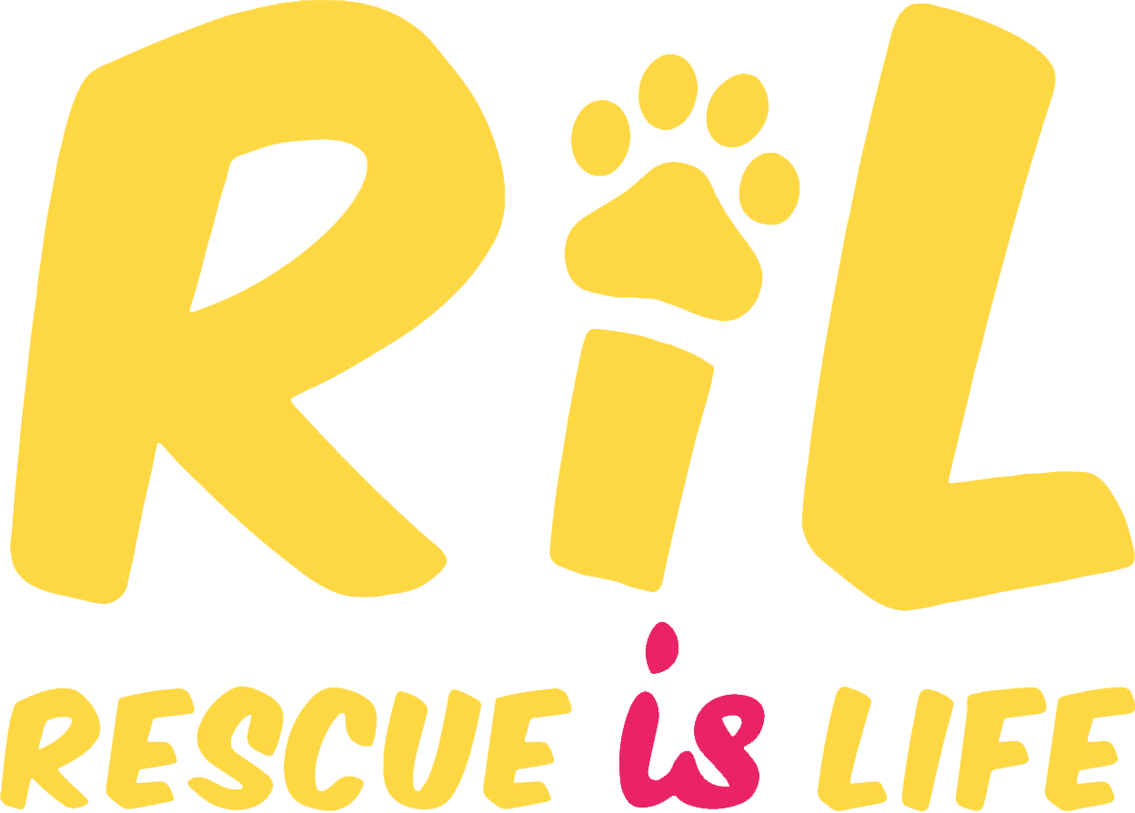 Rescue Is Life Rescue is Life was founded in January 2019 by Michelle Barnard, Donna Kabe-Stear, and Charmaine Tong, three passionate women with over 30 years of combined experience in animal welfare. With a mission to Rescue, Rehabilitate, Rehome, and Sterilise dogs and